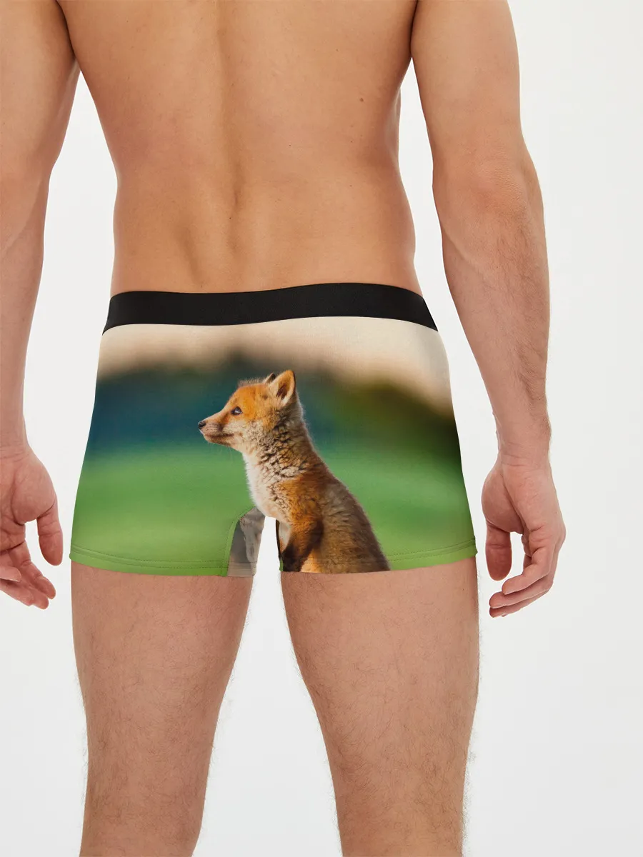 Мужские трусы боксеры / Лиса
