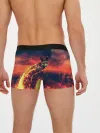 Мужские трусы боксеры / Огненная лиса