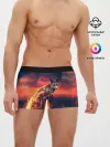 Мужские трусы боксеры / Огненная лиса