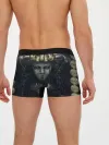 Мужские трусы боксеры / Викинги - Ивар