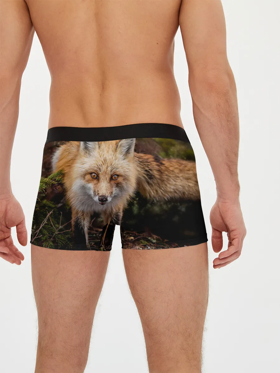 Мужские трусы боксеры / Лиса