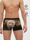 Мужские трусы боксеры / Лиса