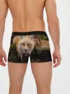 Мужские трусы боксеры / Лиса