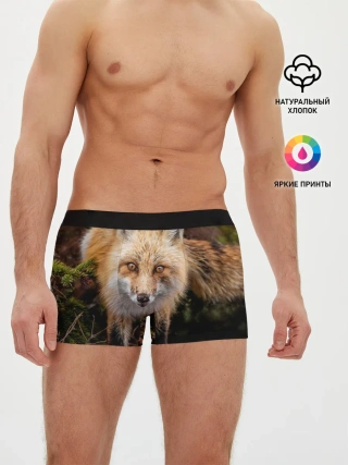 Мужские трусы боксеры / Лиса