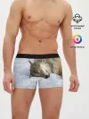 Мужские трусы боксеры / Спящий Волк
