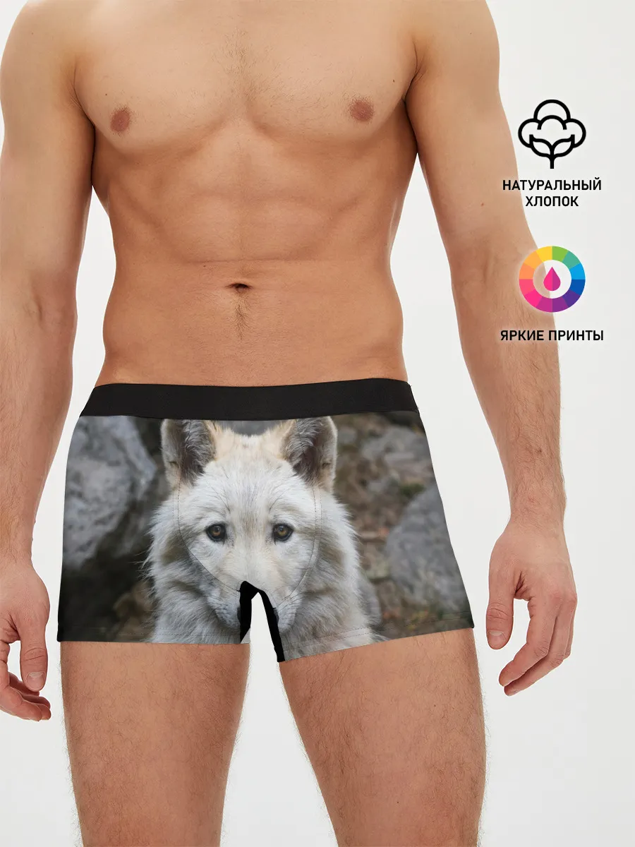 Мужские трусы боксеры / Волк