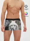 Мужские трусы боксеры / Волк
