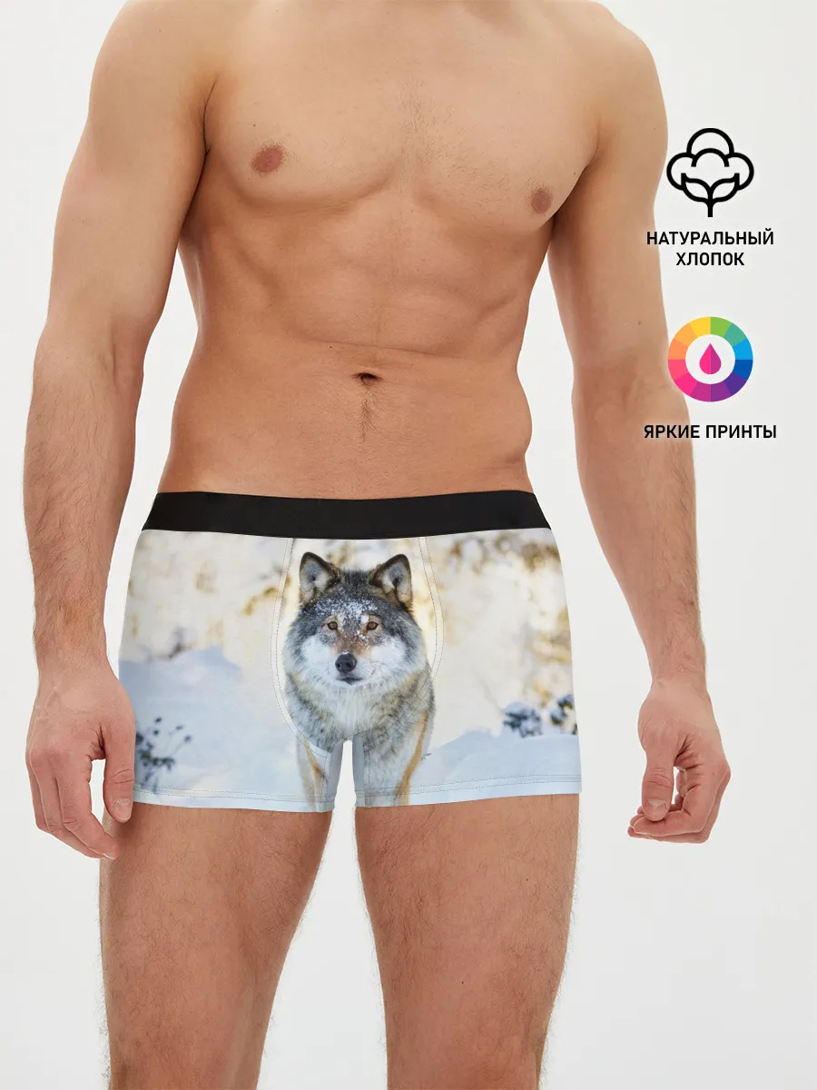 Мужские трусы боксеры / Я зимой