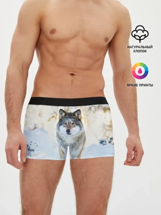 Мужские трусы боксеры / Я зимой