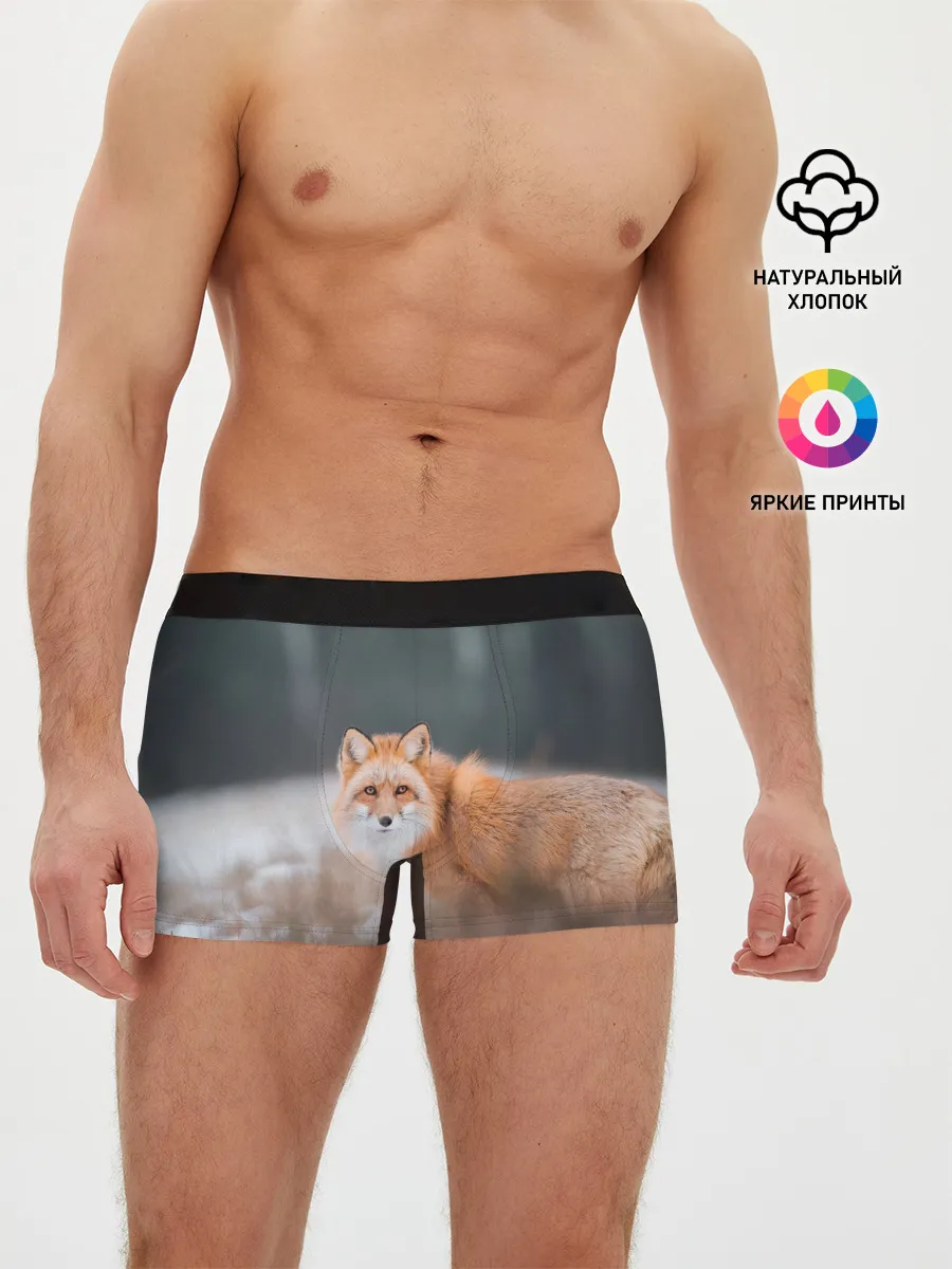 Мужские трусы боксеры / Лиса