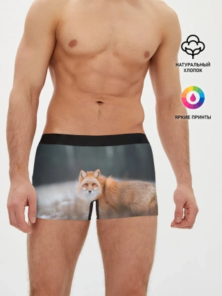 Мужские трусы боксеры / Лиса