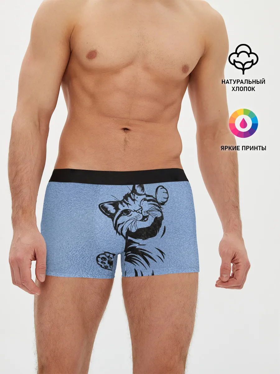 Мужские трусы боксеры / Улыбающийся кот