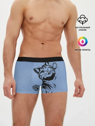 Мужские трусы боксеры / Улыбающийся кот