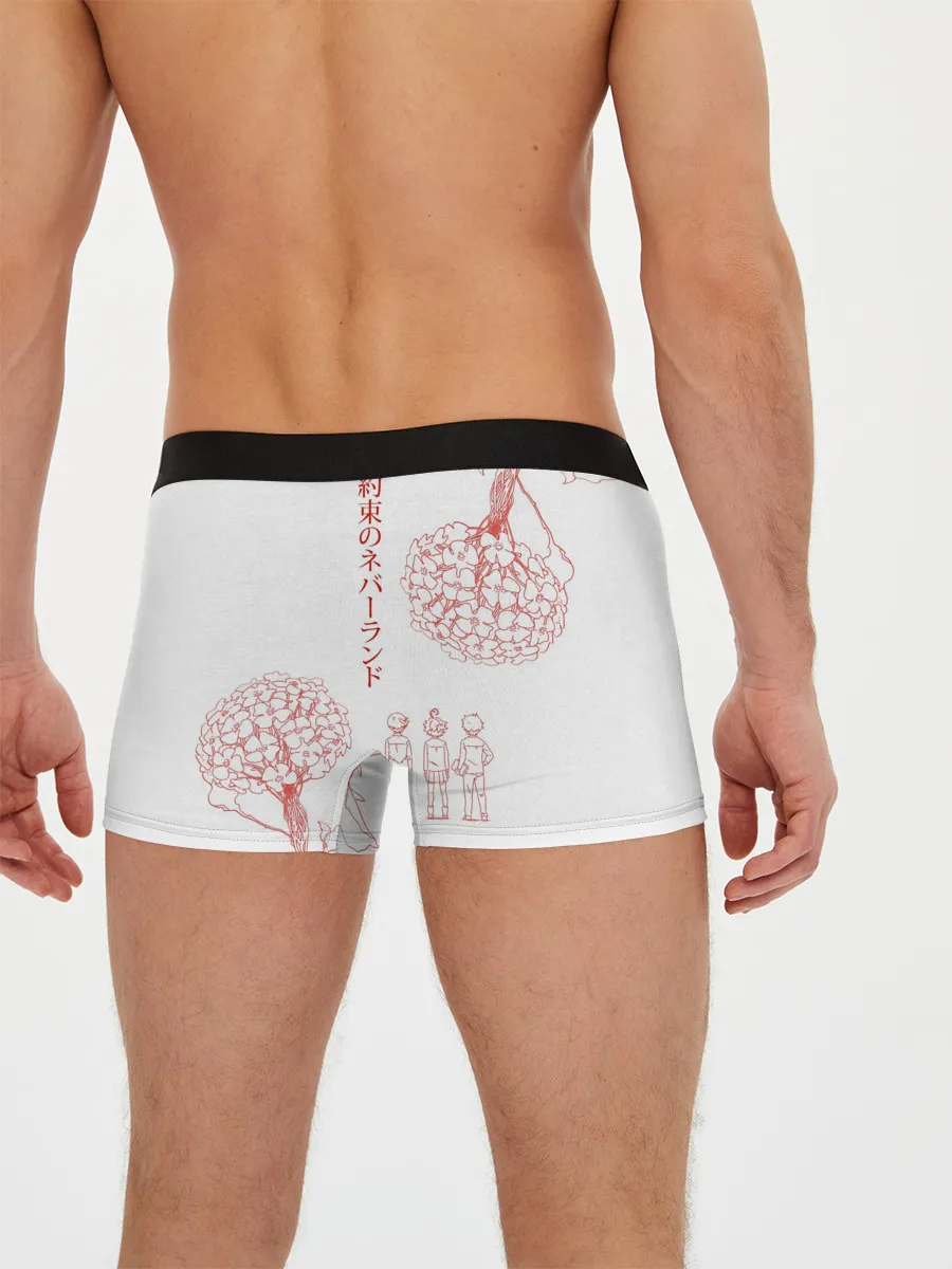 Мужские трусы боксеры / Обещанный Неверленд