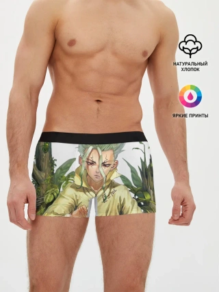 Мужские трусы боксеры / Доктор Стоун