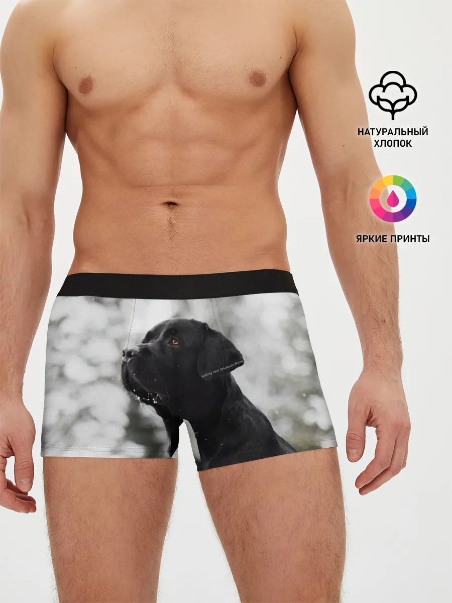 Мужские трусы боксеры / Лабрадор Марк