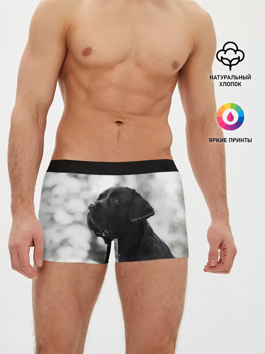 Мужские трусы боксеры / Лабрадор Марк