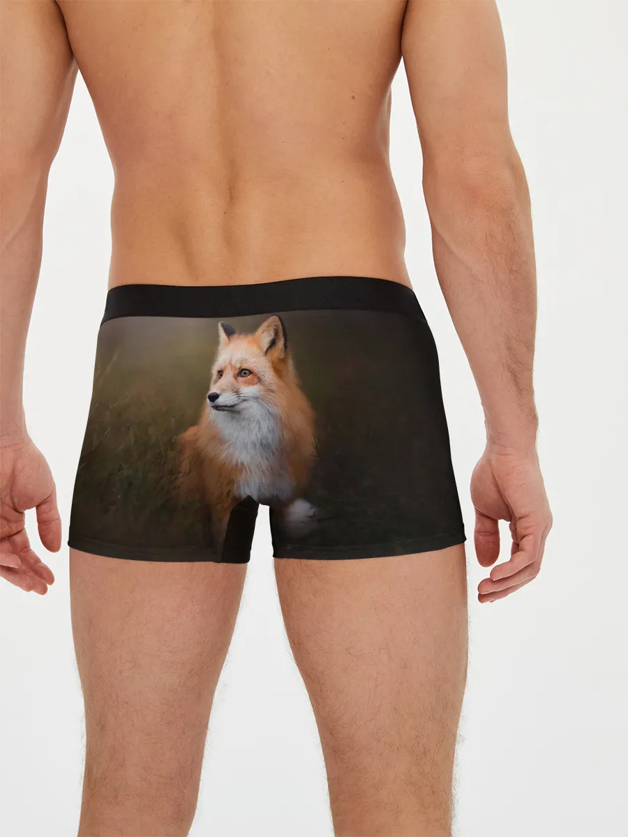 Мужские трусы боксеры / Лиса-охотница