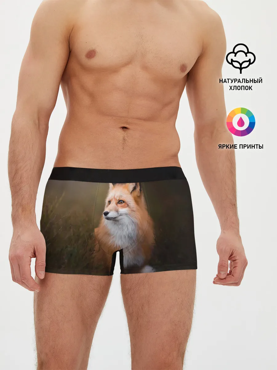 Мужские трусы боксеры / Лиса-охотница