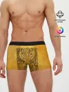 Мужские трусы боксеры / жар птица