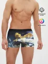 Мужские трусы боксеры / Зиницу Агацума Бог ГРОМА
