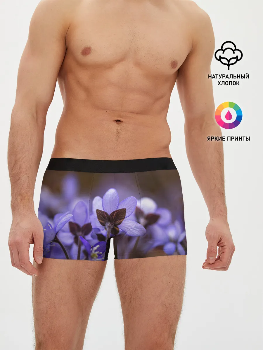 Мужские трусы боксеры / хрупкий цветок фиалка