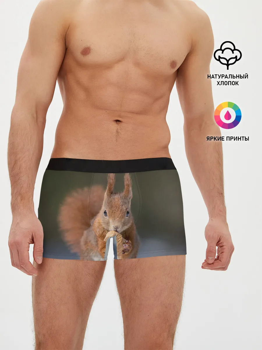 Мужские трусы боксеры / белка с орехом на снегу