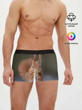 Мужские трусы боксеры / белка с орехом на снегу