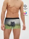 Мужские трусы боксеры / черный кот на лугу