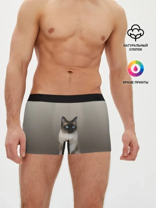 Мужские трусы боксеры / Сиамский кот голубые глаза