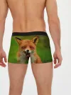 Мужские трусы боксеры / Лисица