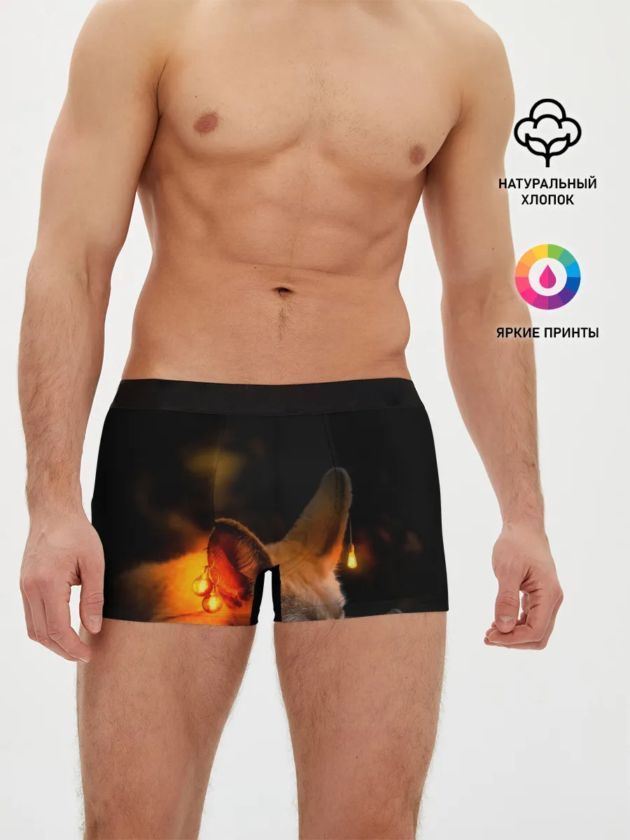 Мужские трусы боксеры / Лисичка с фонариками