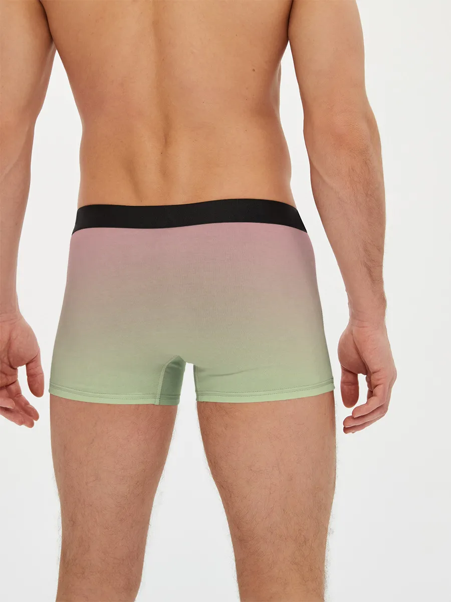 Мужские трусы боксеры / суккулент градиент