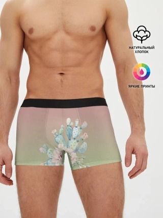 Мужские трусы боксеры / суккулент градиент