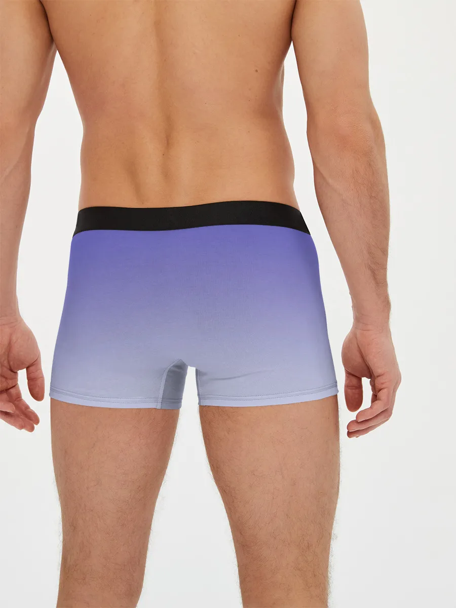 Мужские трусы боксеры / енот акварелью потеки