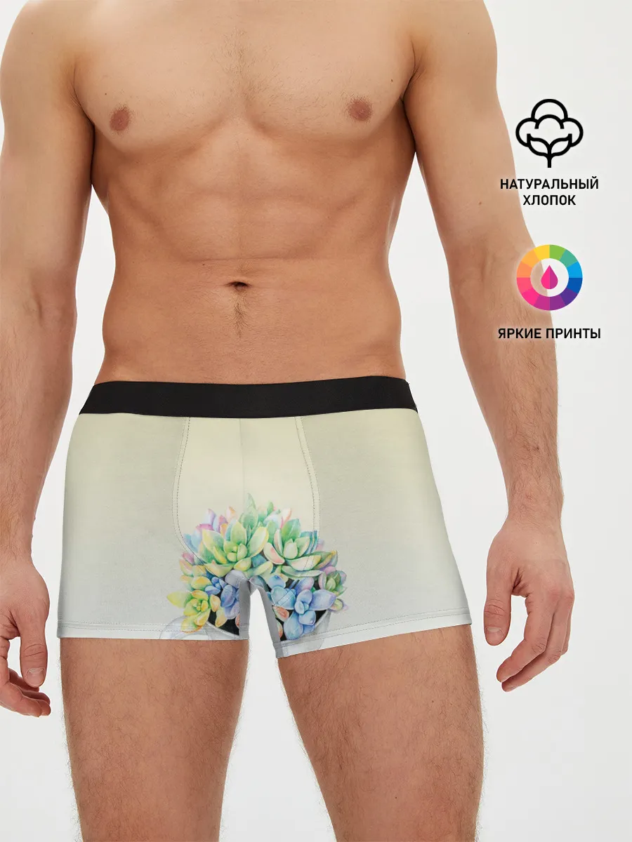 Мужские трусы боксеры / Чашка с суккулентами