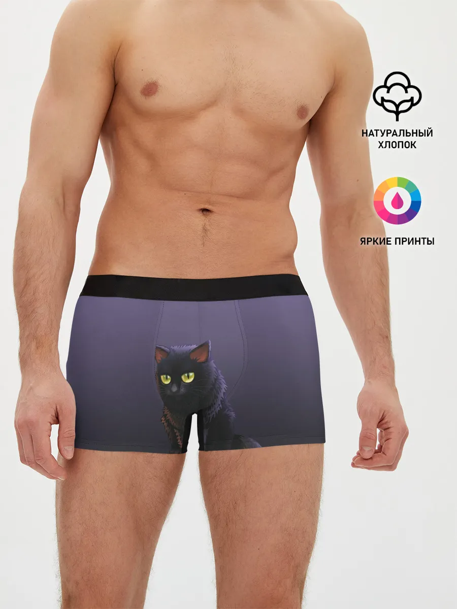 Мужские трусы боксеры / черный кот на фиолетовом