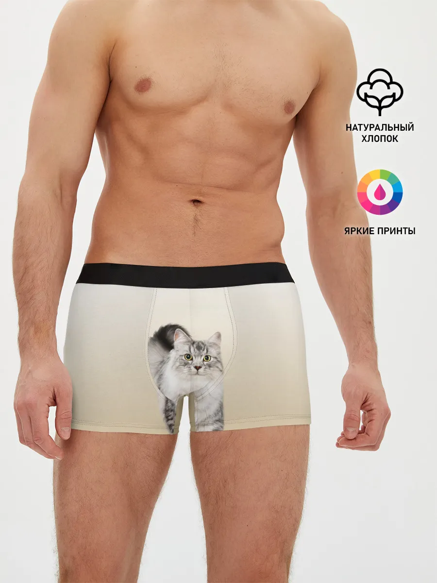 Мужские трусы боксеры / Пушистый котик реалистичный