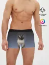 Мужские трусы боксеры / сиамская милая кошечка