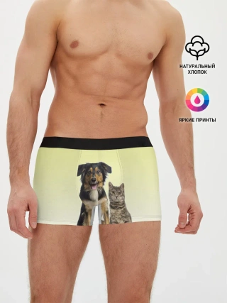 Мужские трусы боксеры / кошка и собака друзья