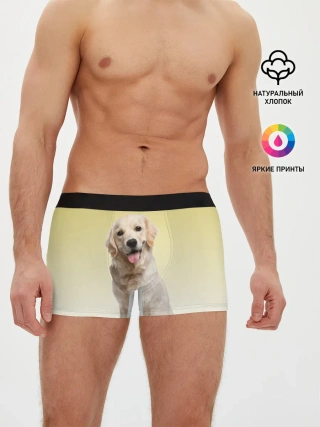 Мужские трусы боксеры / Лабрадор ретривер пес