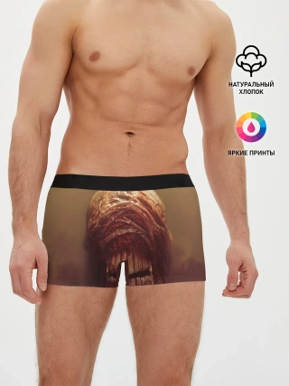 Мужские трусы боксеры / RE3 | Nemesis