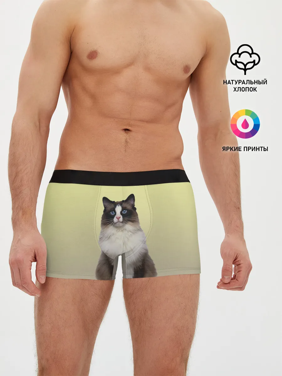 Мужские трусы боксеры / персидская пушистая кошка