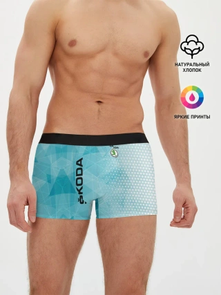 Мужские трусы боксеры / SKODA