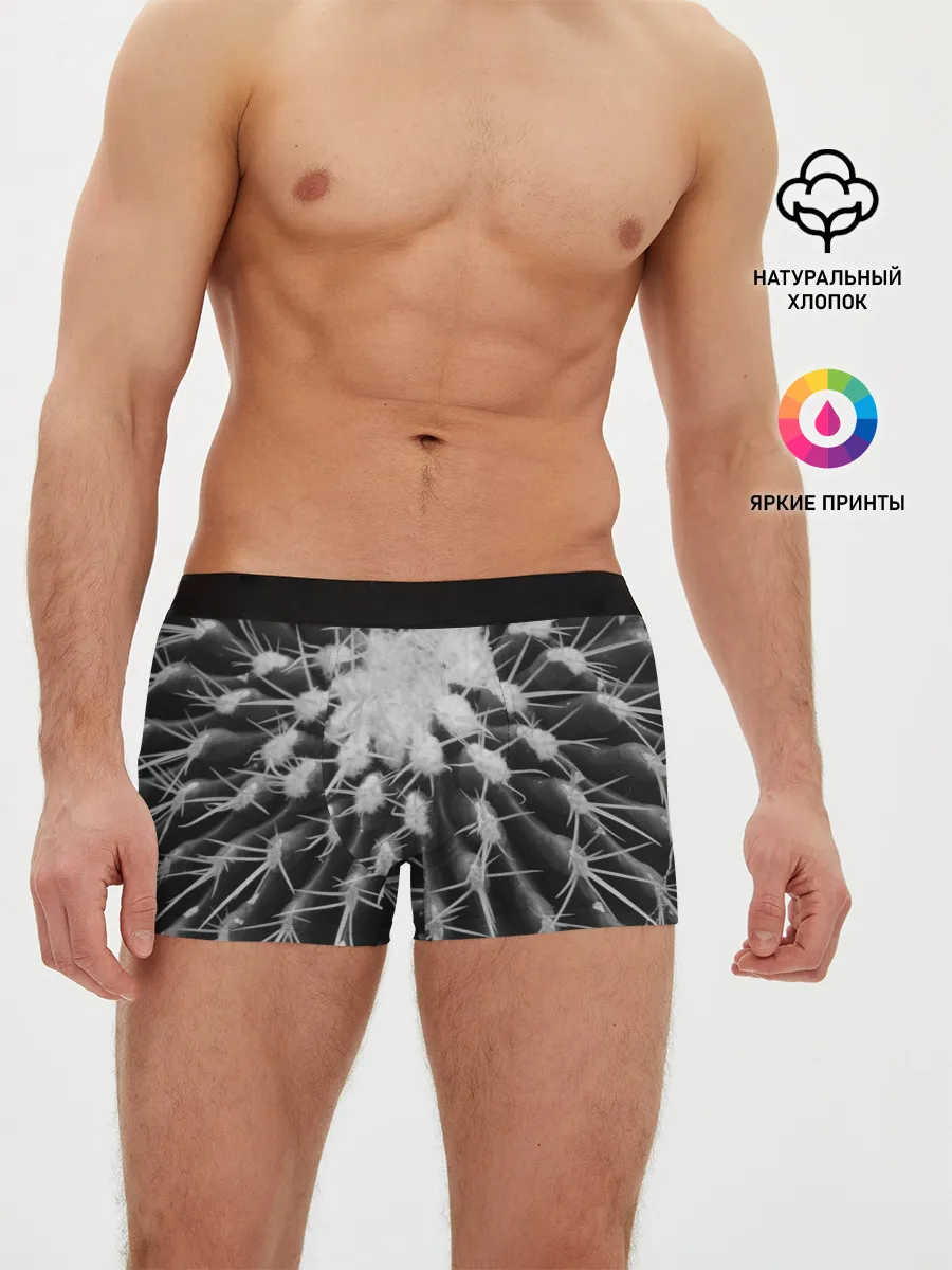 Мужские трусы боксеры / Кактусовый