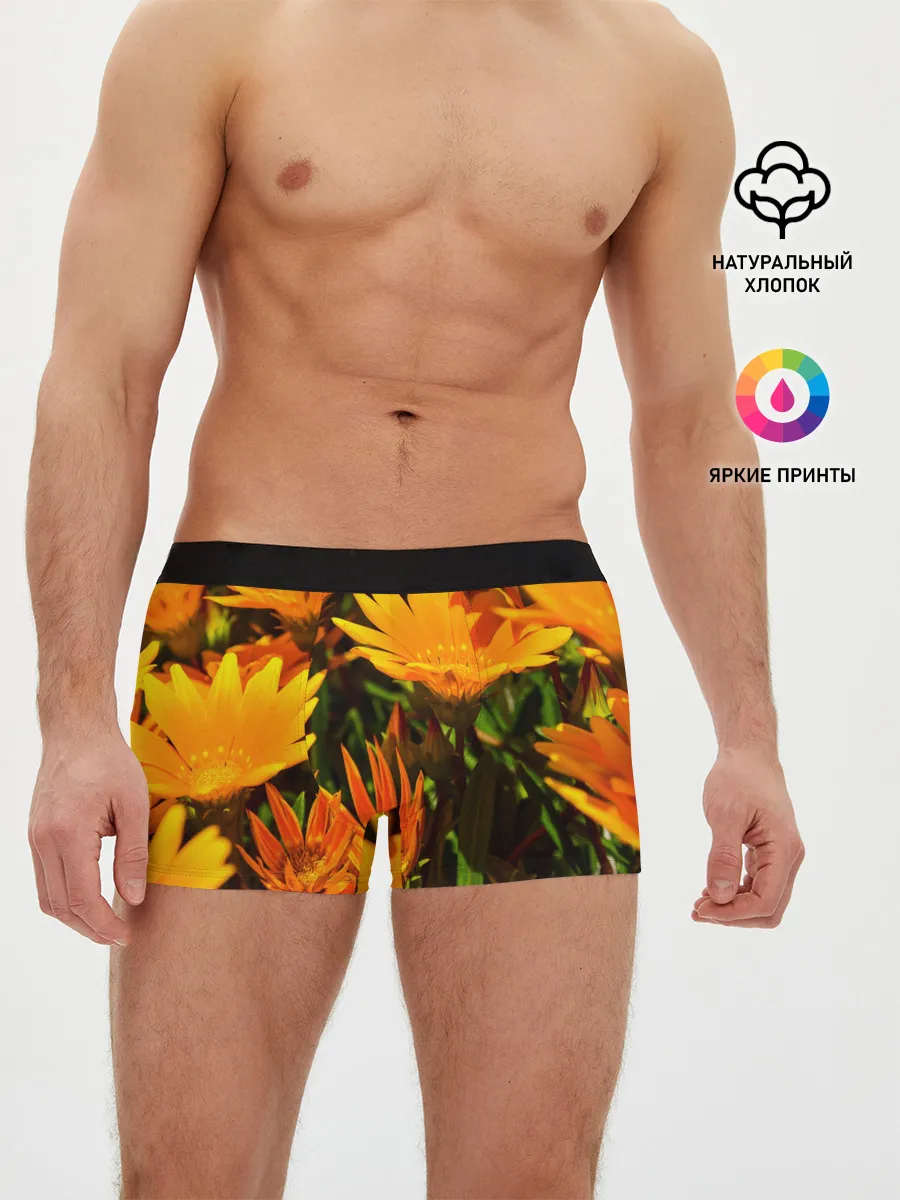 Мужские трусы боксеры / Желтый цвет весны