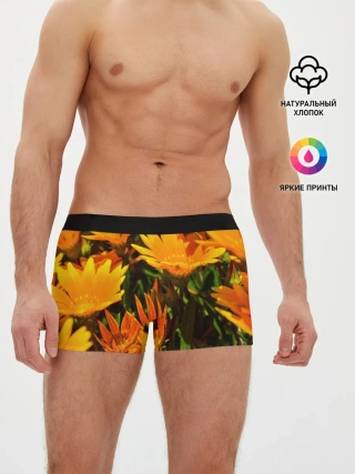 Мужские трусы боксеры / Желтый цвет весны