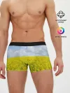 Мужские трусы боксеры / Желтый цвет весны