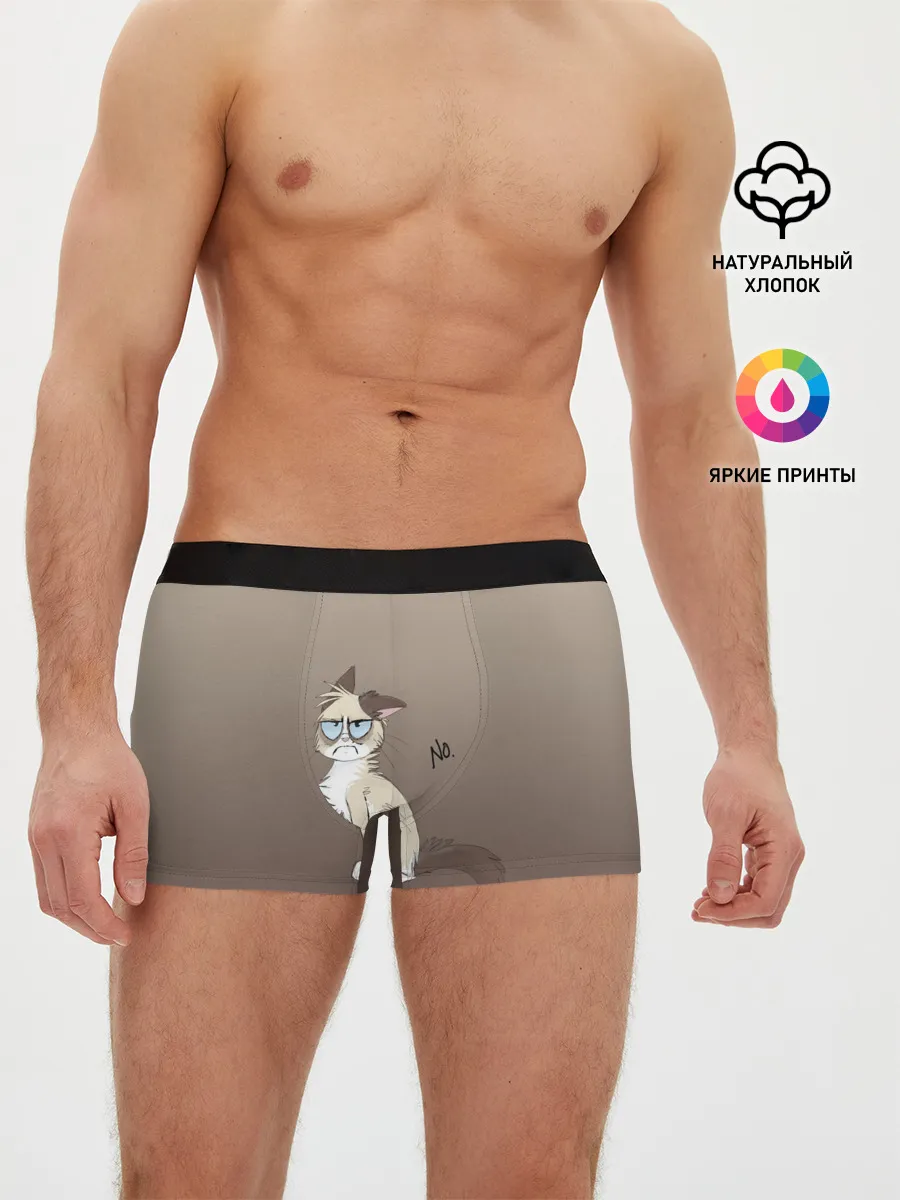 Мужские трусы боксеры / сварливый кот мем нет