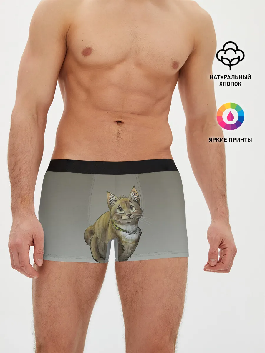Мужские трусы боксеры / полосатый уличный кот